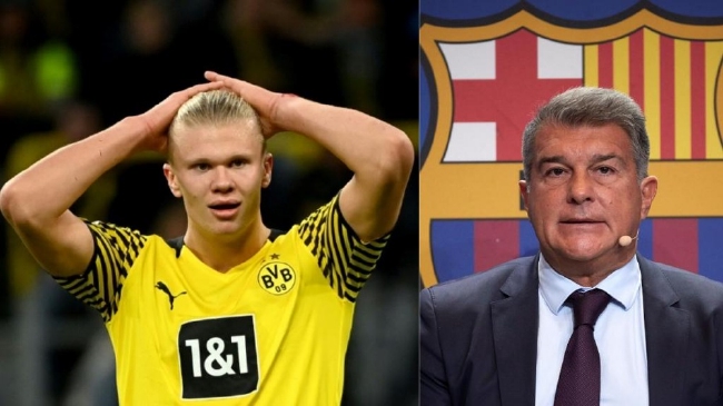 阿德莱德对阵墨尔本城大名单：纳杰多夫斯基缺席，古德温在列（阿德莱德战墨尔本城名单：纳杰多夫斯基缺阵，古德温入选）